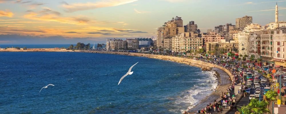 Turkish Airlines Alexandria Office in Egypt