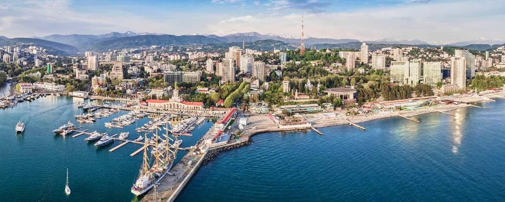 Turkish Airlines Sochi Office in Russia