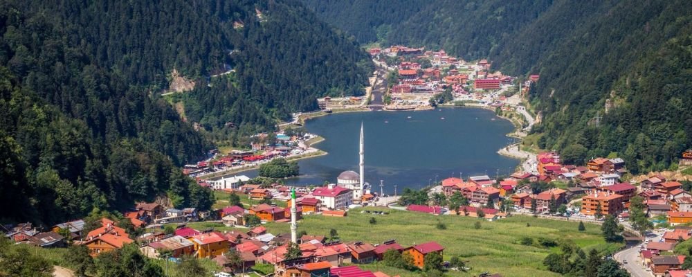 Qatar Airways Trabzon Office in Turkey