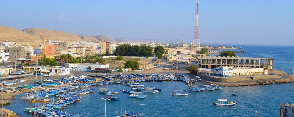 Turkish Airlines Yanbu Office in Saudi Arabia